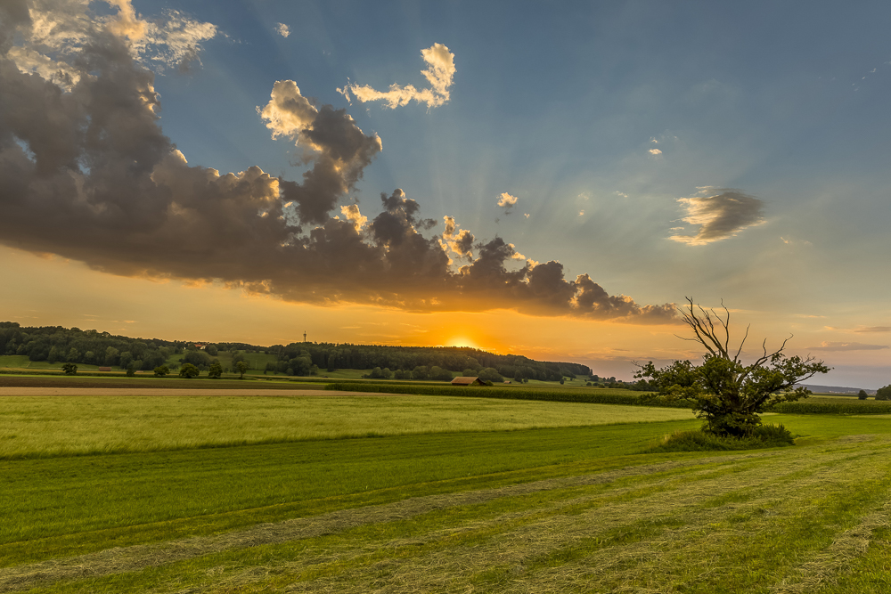 Platz 4 Conny Kleiner